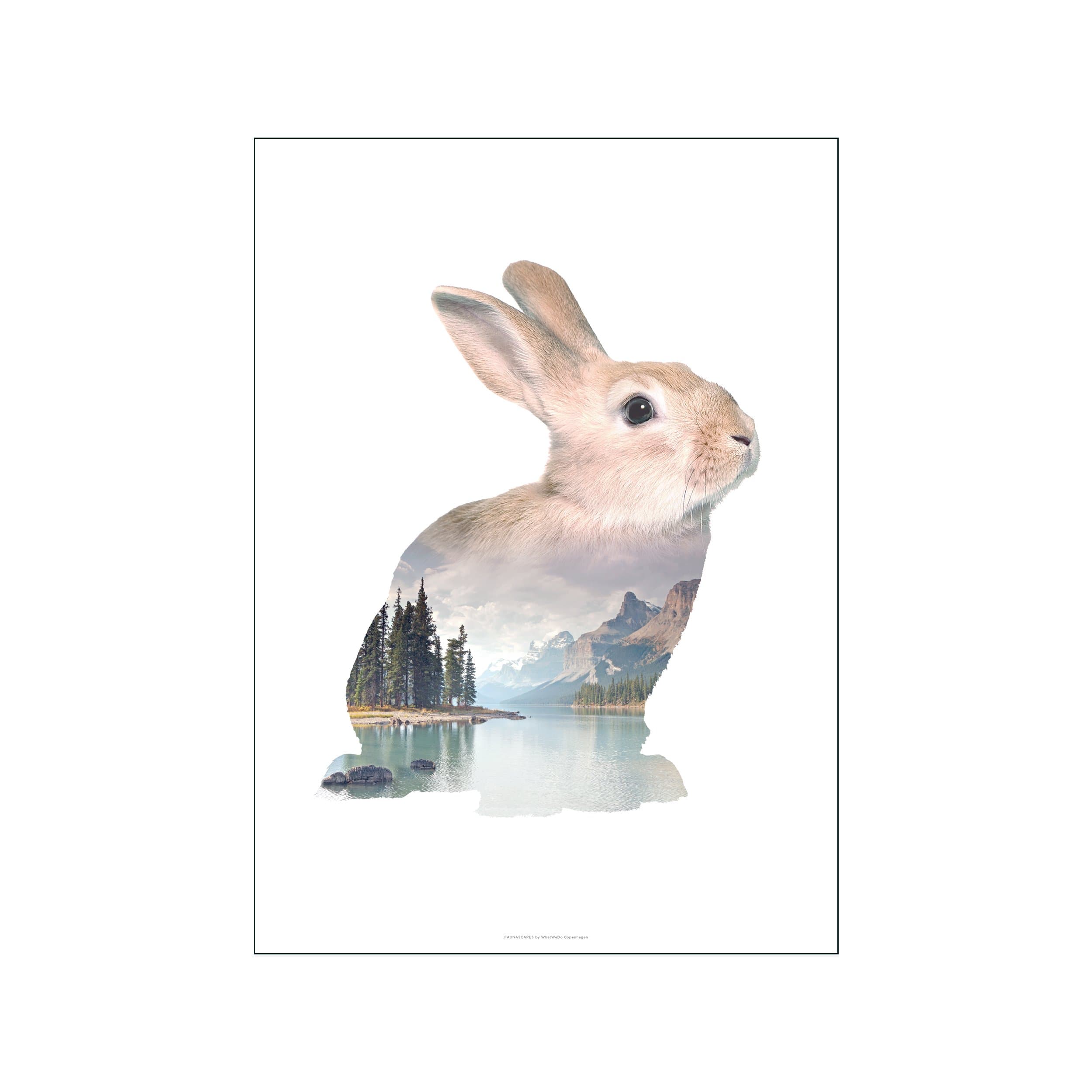 Rabbit – Poster & Frame Art Group