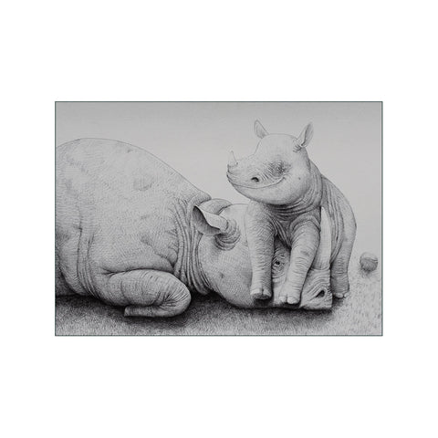 Rhino With Cub