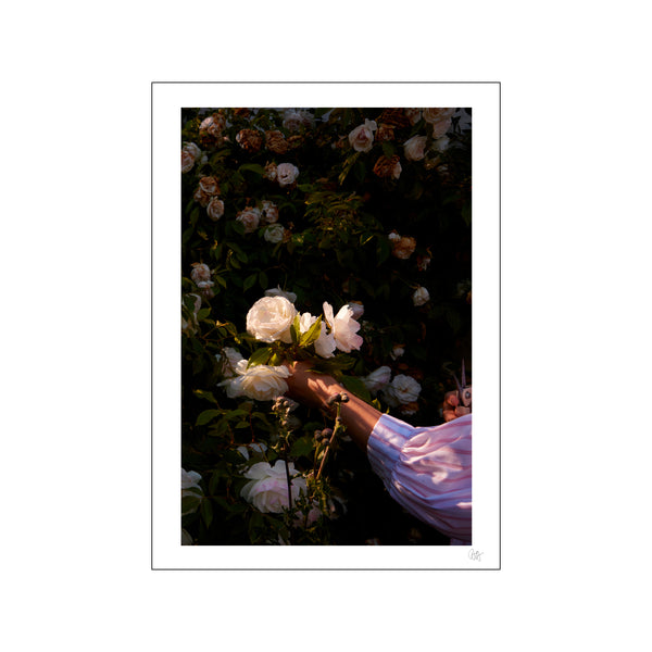 Rose Hand — Art print by Poppykalas from Poster & Frame
