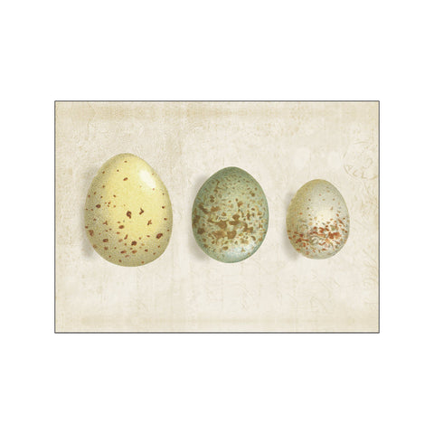 Row of Eggs I — Art print by Wild Apple from Poster & Frame