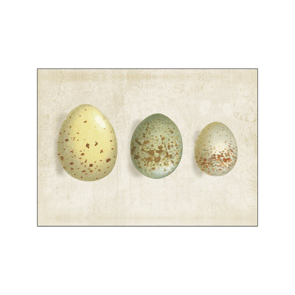 Row of Eggs I — Art print by Wild Apple from Poster & Frame