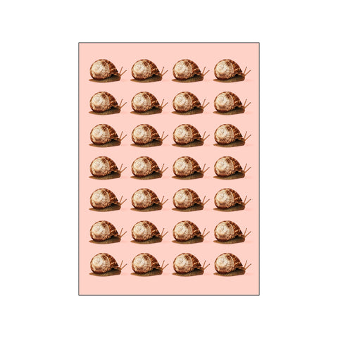 Snail 3 — Art print by Camilla Schmidt from Poster & Frame