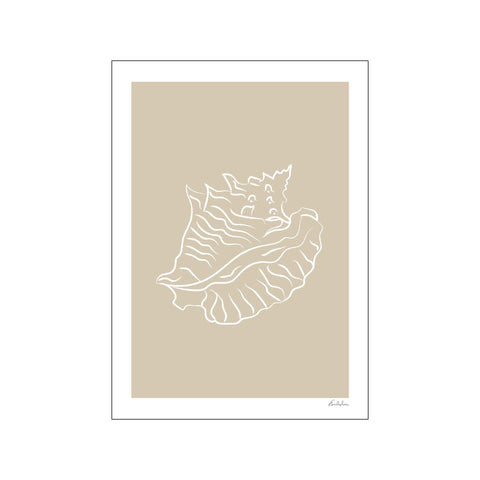 Seashell 02 — Art print by Emilie Luna from Poster & Frame