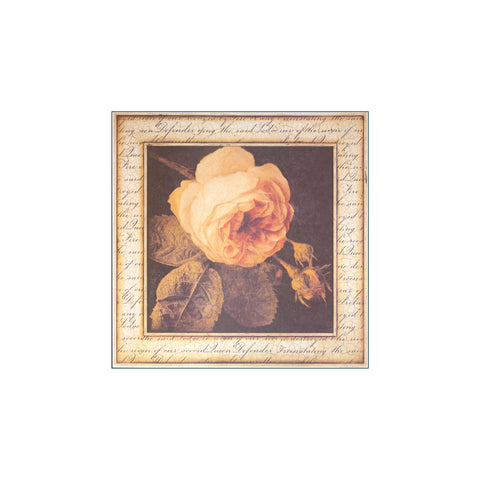 Ancient Rose — Art print by Sid Dickens from Poster & Frame