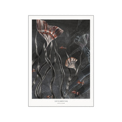Mystic Ocean — Art print by Sofie Børsting from Poster & Frame