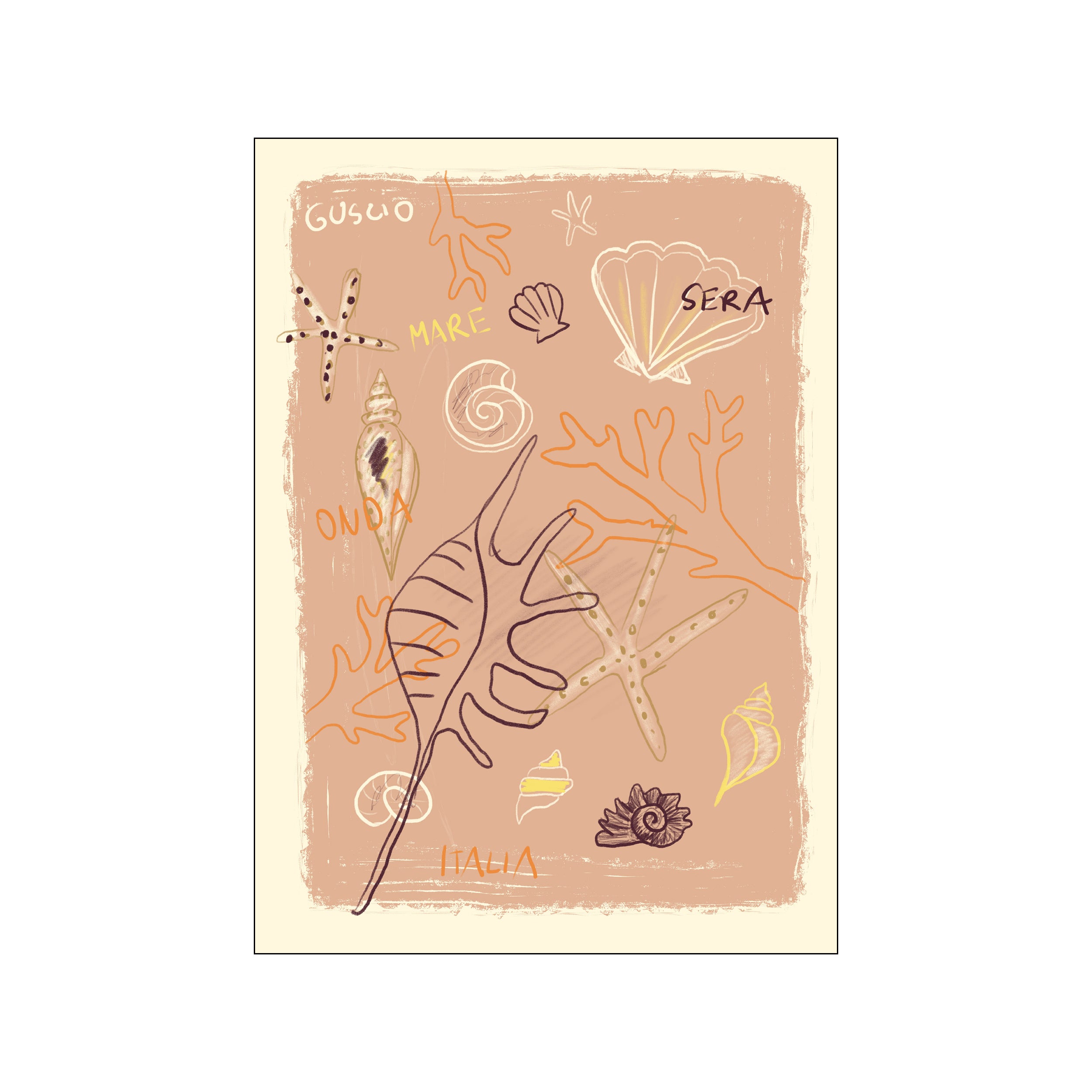Shells – Poster & Frame Art Group