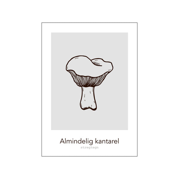 Almindelig kantarel — Art print by Stregtegn from Poster & Frame