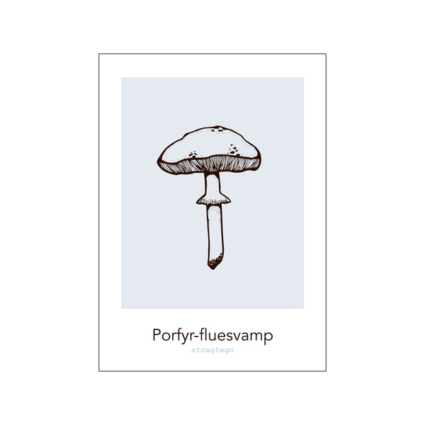 Porfyr-fluesvamp — Art print by Stregtegn from Poster & Frame