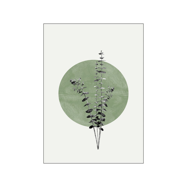 Eucalyptus and Green Moon — Art print by THE MIUUS STUDIO from Poster & Frame