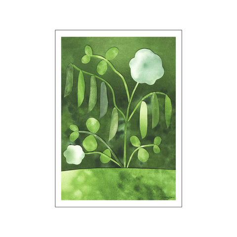 Peas in Bloom — Art print by The Poster Club x Anna Ravn Bjørn from Poster & Frame