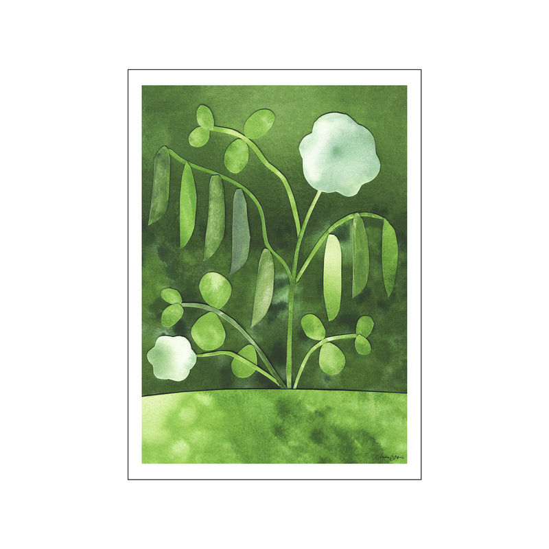 Peas in Bloom — Art print by The Poster Club x Anna Ravn Bjørn from Poster & Frame