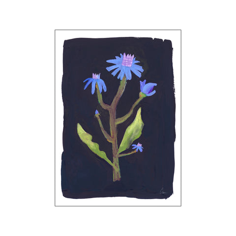 Night Flower — Art print by The Poster Club x Clara Schicketanz from Poster & Frame