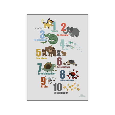 Tælle plakat — Art print by Willero Illustration from Poster & Frame