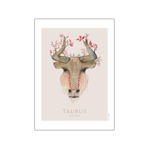 Taurus