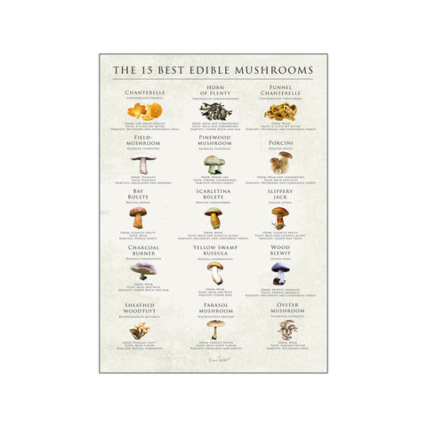 The 15 best edible mushrooms — Art print by Simon Holst from Poster & Frame