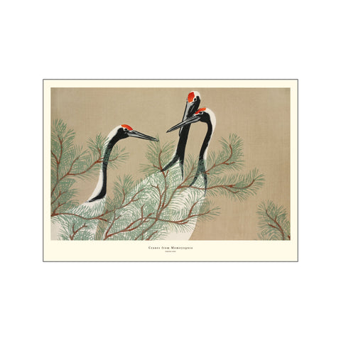 Cranes from Momoyogusa — Art print by A.P. Atelier from Poster & Frame