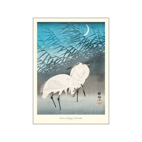 Egrets and Reeds in Moonlight