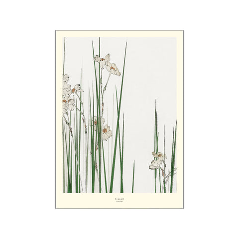 Jonquil — Art print by A.P. Atelier from Poster & Frame