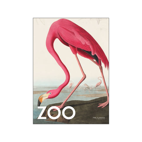 The Zoo Collection — Pink Flamingo — Edt. 002