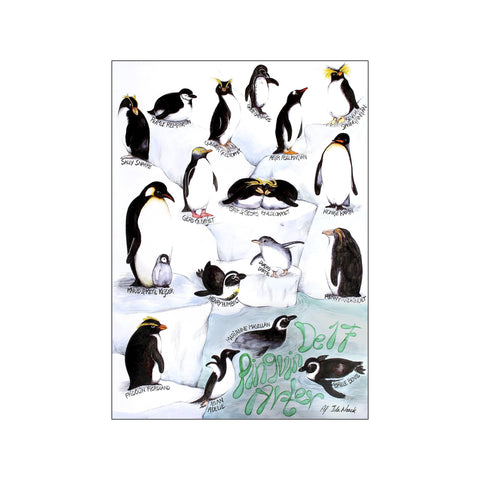 The 17 penguins