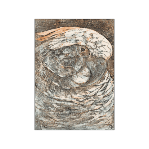Kop van een papegaai — Art print by Theo van Hoytema from Poster & Frame