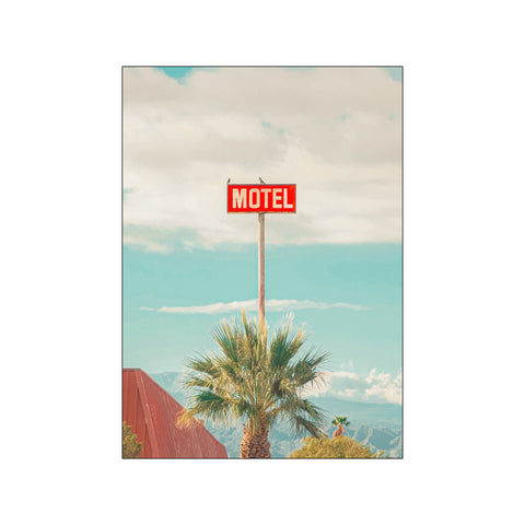 This Motel is for the Birds