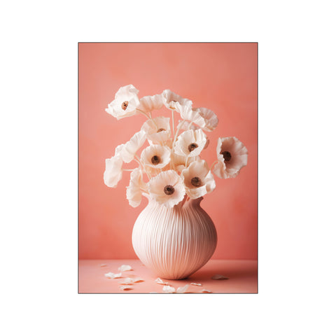 White Poppy On Coral Background