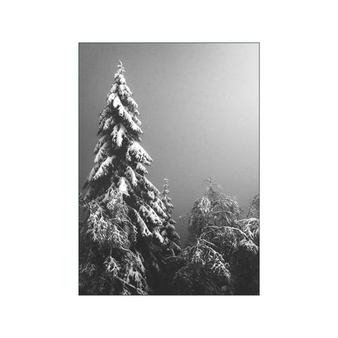 Trees — Art print by Rune Slettemeås from Poster & Frame