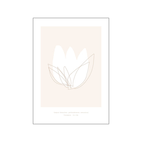 Tulip — Art print by Lé Ark from Poster & Frame