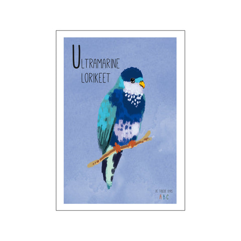 Ultramarine lorikeet — Art print by Line Malling Schmidt from Poster & Frame