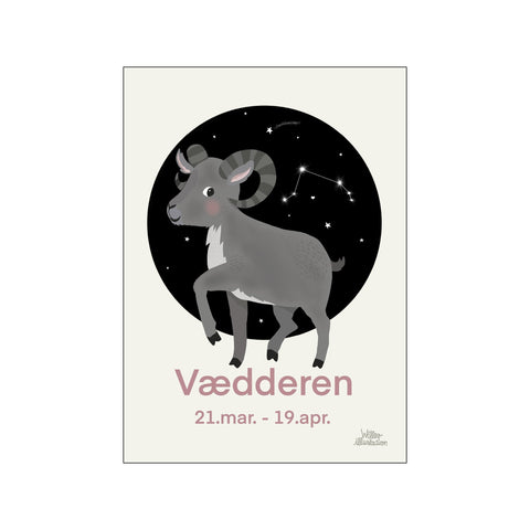 Vædderen Rosa — Art print by Willero Illustration from Poster & Frame