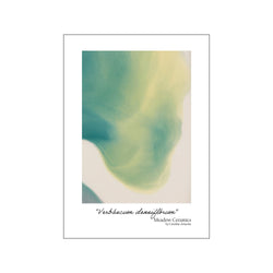 Verbáscum densiflórum — Art print by Meadow Ceramics from Poster & Frame