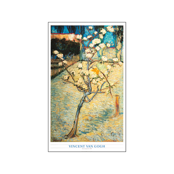 Blossoming Pear Tree 1888 — Art print by Vincent Van Gogh from Poster & Frame