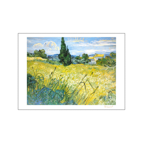 Champ de blé avec cyprès — Art print by Vincent Van Gogh from Poster & Frame