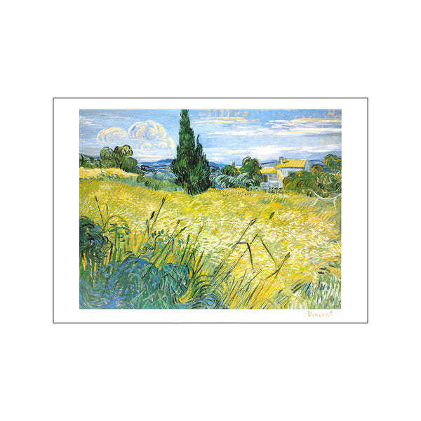Champ de blé avec cyprès — Art print by Vincent Van Gogh from Poster & Frame