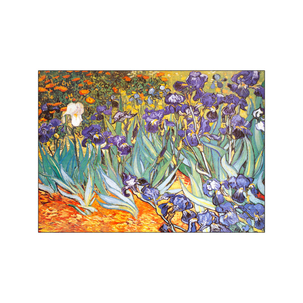 Iris - 31117 — Art print by Vincent Van Gogh from Poster & Frame