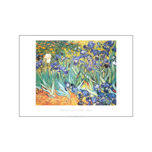 Iris — Art print by Vincent Van Gogh from Poster & Frame