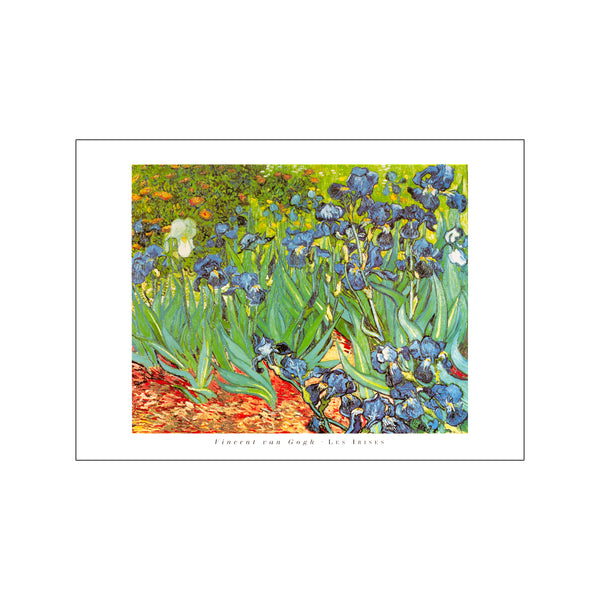 Les Irises — Art print by Vincent Van Gogh from Poster & Frame