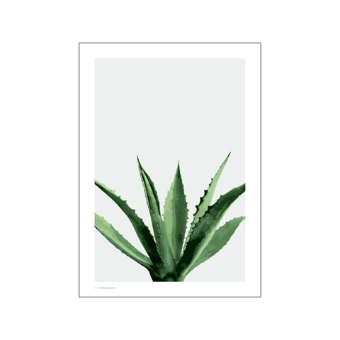 Agave — Art print by Wonderhagen from Poster & Frame