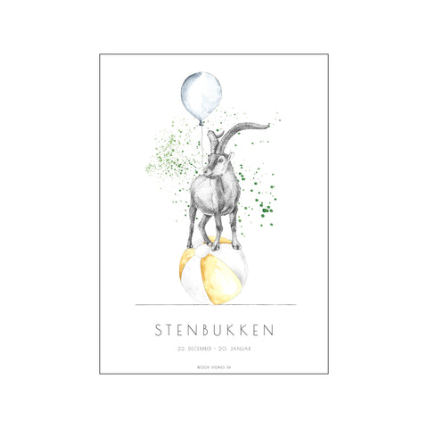 STJERNETEGNSPLAKAT - STENBUKKEN