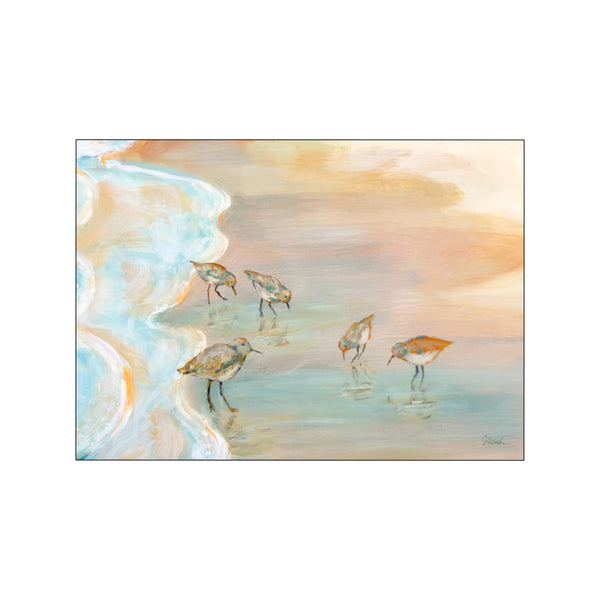 Back Bay Sandpipers — Art print by Wild Apple from Poster & Frame