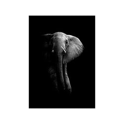 Elephant — Art print by WildPhotoArt from Poster & Frame
