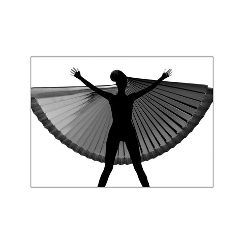 Wings — Art print by Peter Sebastian from Poster & Frame