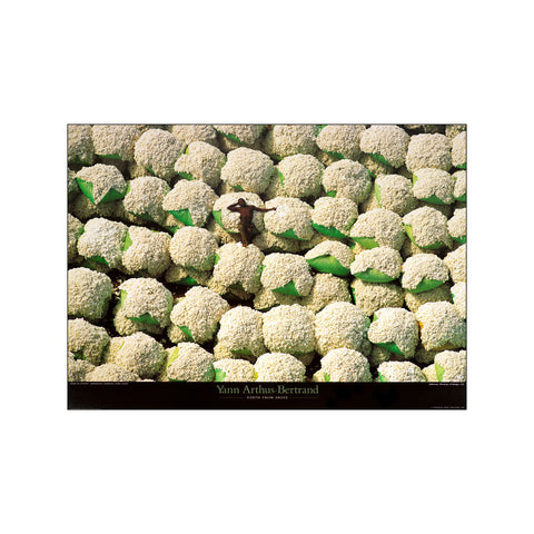 Bales of Cotton Thonakaha Korhogo Ivory Coast — Art print by Yann Arthus-Bertrand from Poster & Frame