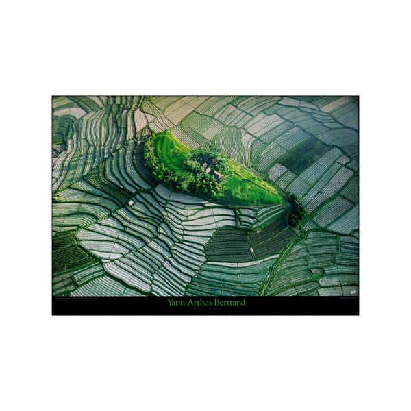 Islet in the terraced rice fields of Bali, Indonesia — Art print by Yann Arthus-Bertrand from Poster & Frame