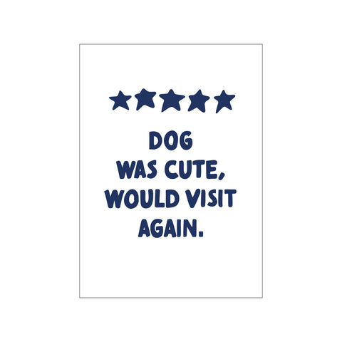 Cute dog