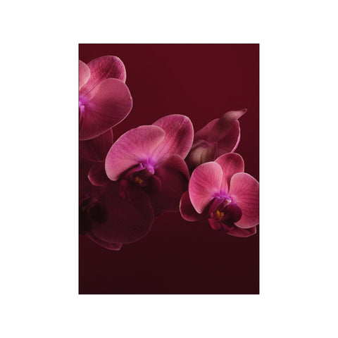 The Burgundy Edition I — Art print by A Blooming Affaire from Poster & Frame