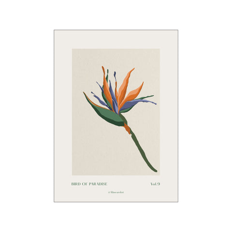Bird of Paradise — Art print by A Linear Dot from Poster & Frame
