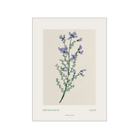 French Lilac — Art print by A Linear Dot from Poster & Frame