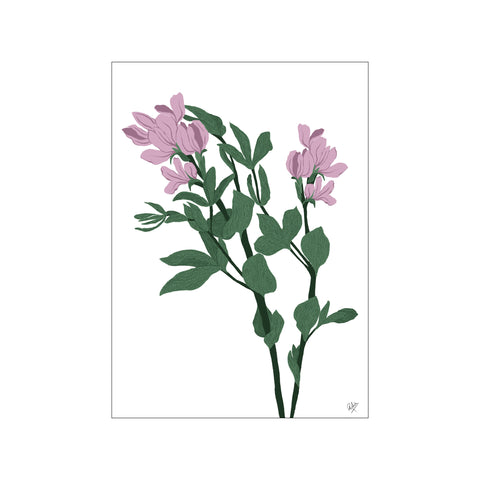 Lilac Bloom — Art print by A Linear Dot from Poster & Frame